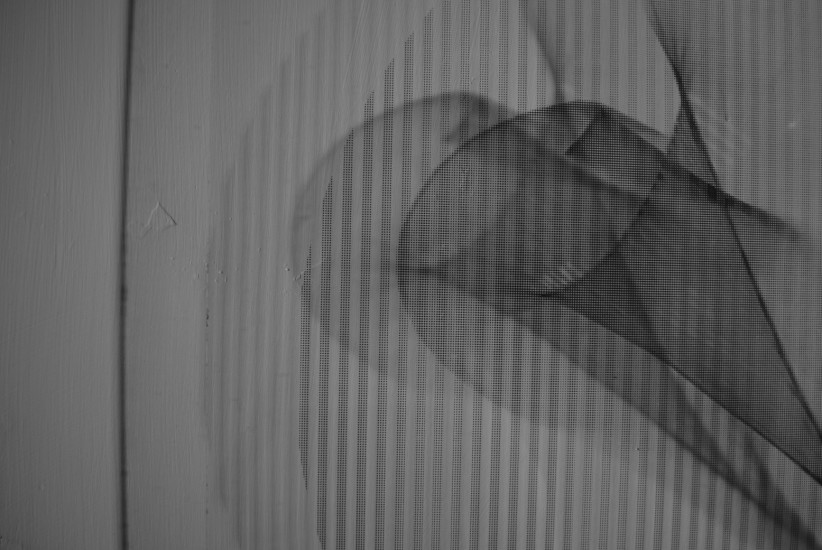 Reflection [ 1 ] - zoom